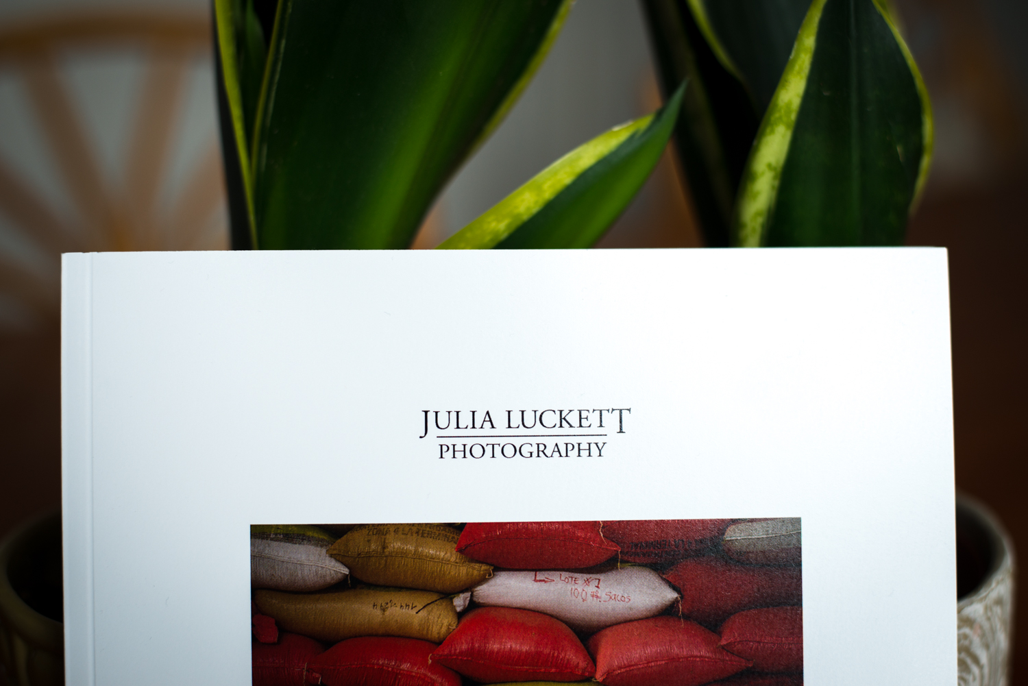07262017-F4FBook-Amira-JuliaLuckettPhotography-27.jpg