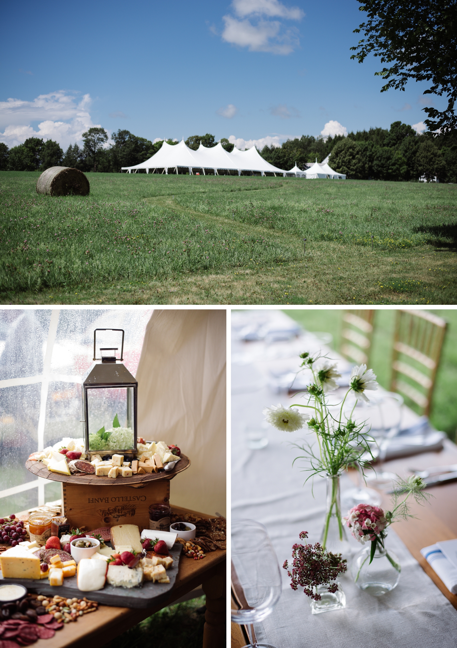 Tented wedding in a private backyard in New Haven, Vermont