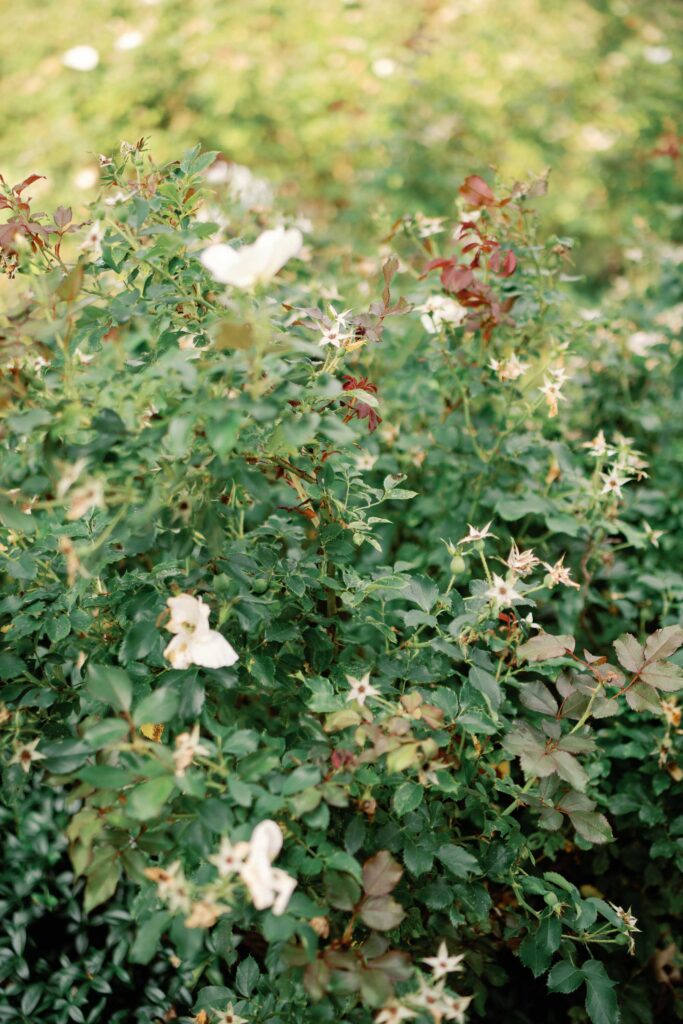 A black-tie Vermont wedding with a Nancy Meyers aesthetic at the historic Shelburne Museum Brick House with Personal notes for every guest, espresso martinis + churros, and sweeping lake views—this one’s for the romantics