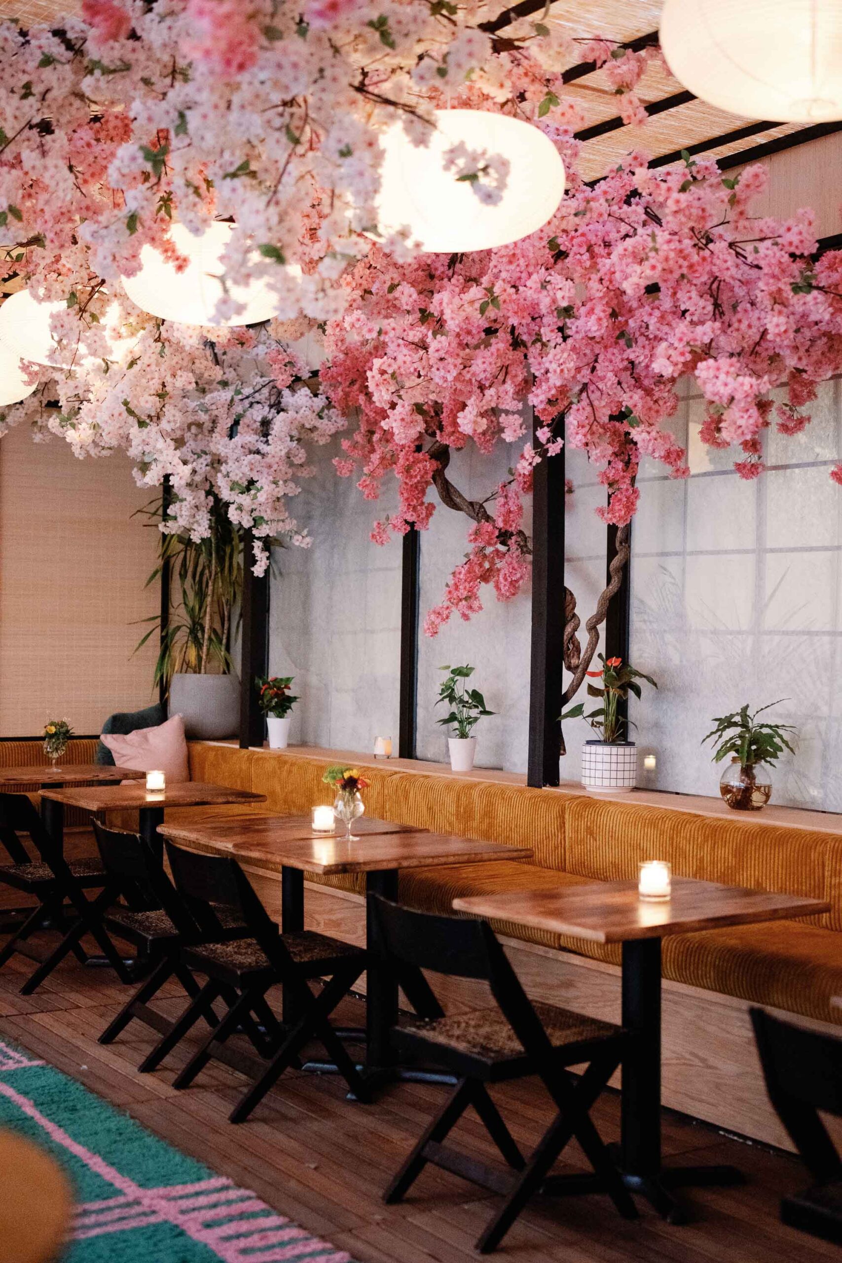 mercy me bar welcome party wedding washington dc cherry blossoms