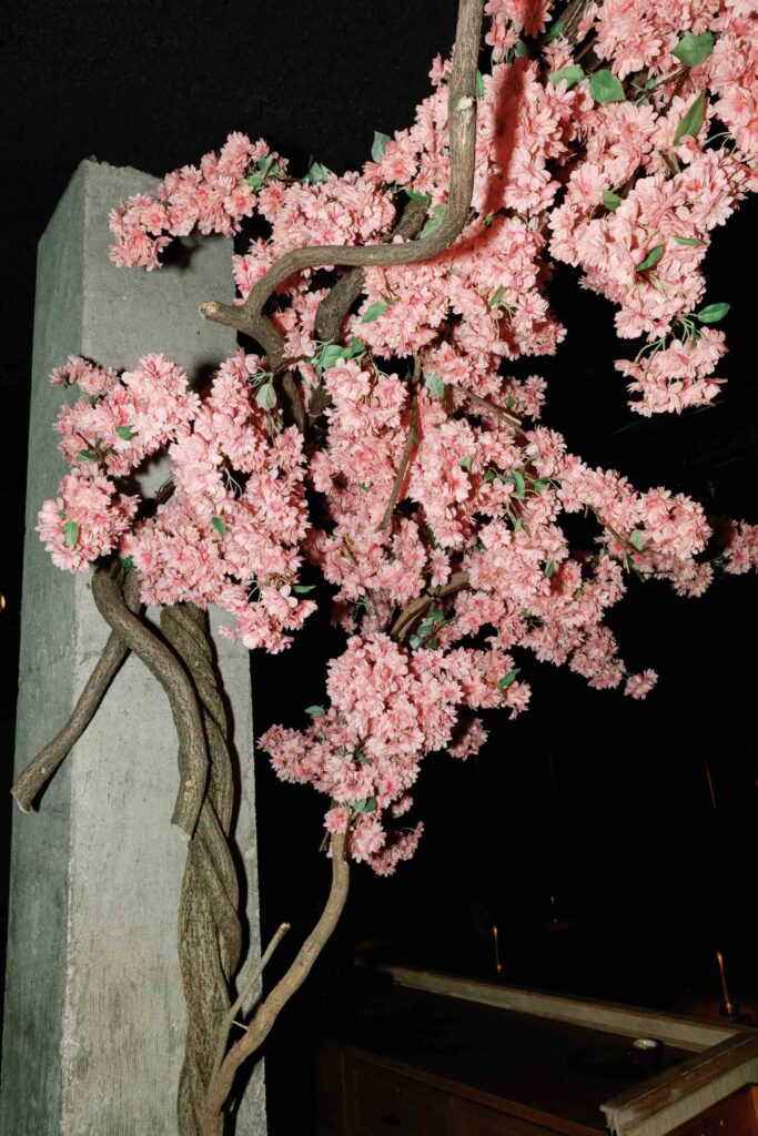 mercy me bar welcome party wedding washington dc cherry blossoms